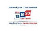 выборы